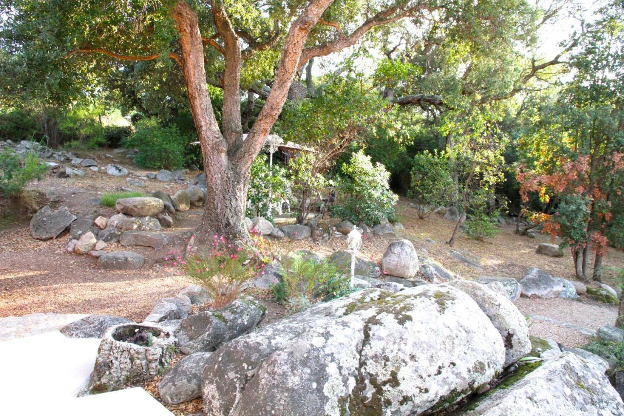 Residence Les Jardins De Sainte-Lucie "Piscine Chauffee" Eksteriør billede